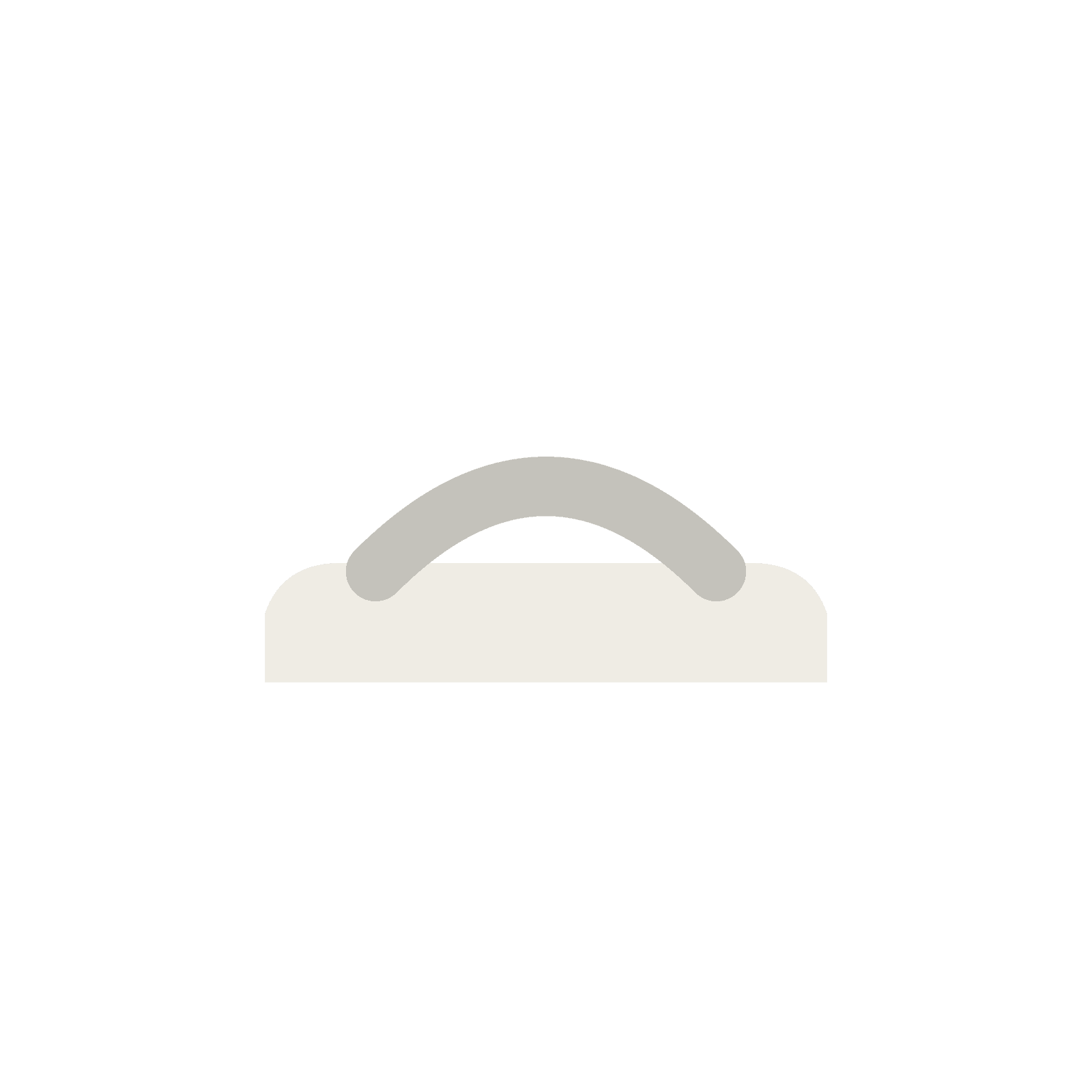 Slide SLD01 Bone
